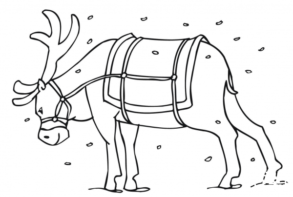 Santa’s Reindeer coloring page image