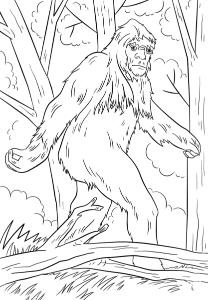 Sasquatch coloring page image