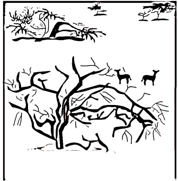 Savanna  coloring page image