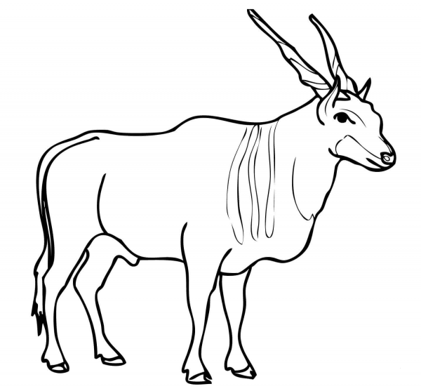 Savannah and Plains Antelope Eland coloring page image
