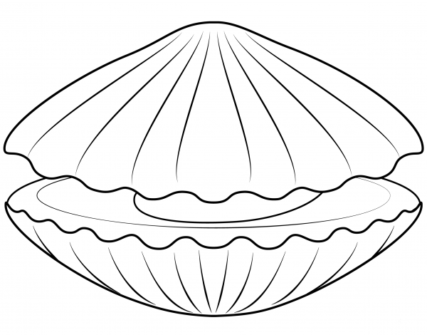 Scallop coloring page image