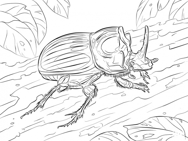 Scarabaeus Lunus Beetle coloring page image