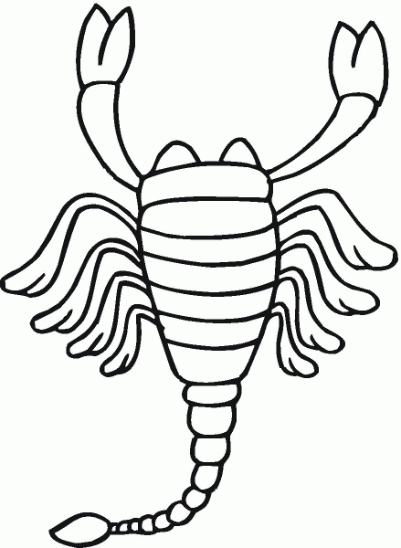 Scorpion 14 coloring page image