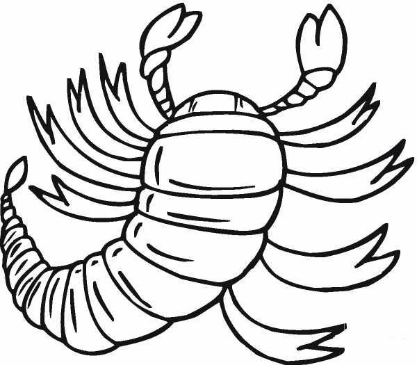 Scorpion 15 coloring page image
