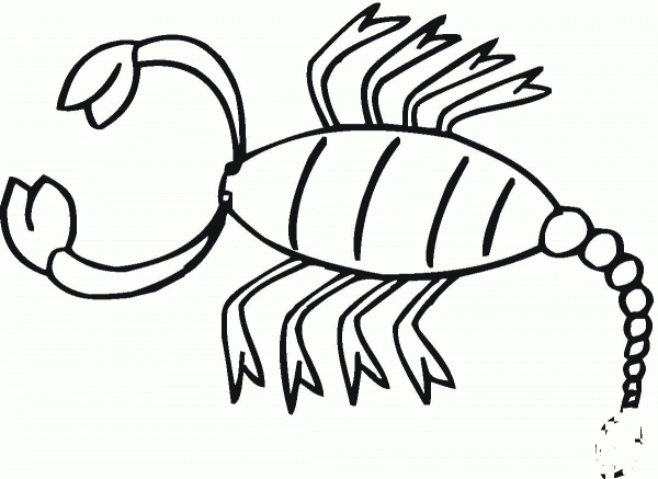 Scorpion 16 coloring page image