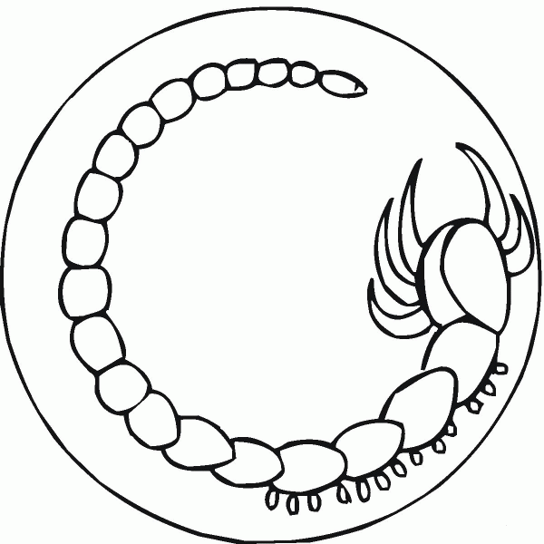 Scorpion 4 coloring page image