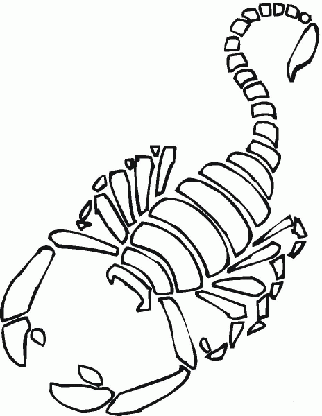 Scorpion 7 coloring page image