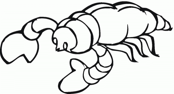 Scorpion 9 coloring page image