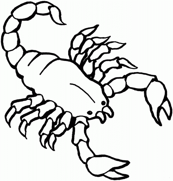 Scorpion coloring page image