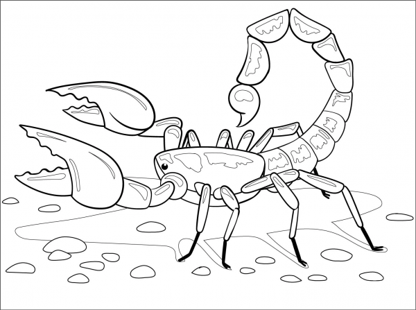 Scorpion coloring page image