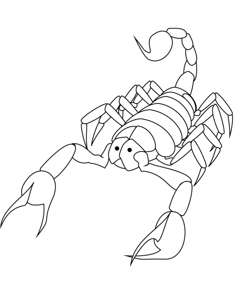 Scorpion coloring page image