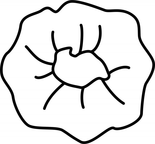 Scrunchie coloring page image