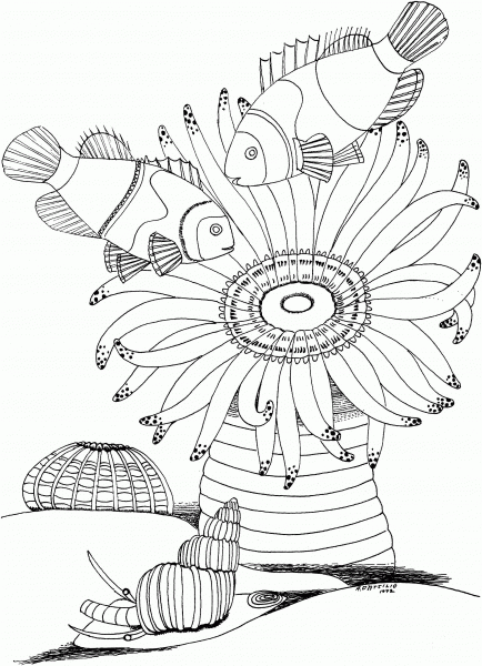 Sea Anemone and Snail coloring page image
