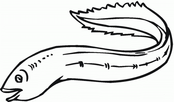 Sea Eel 2 coloring page image