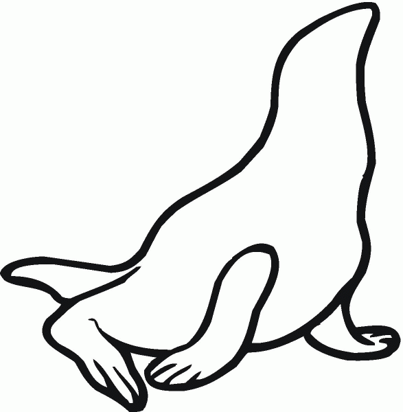 Sea Lion 14 coloring page image
