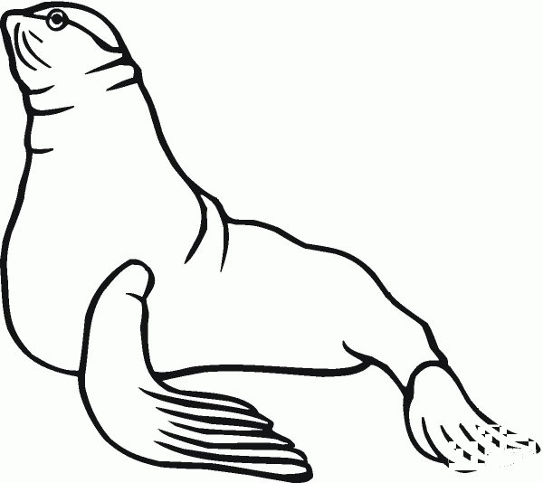 Sea Lion 6 coloring page image