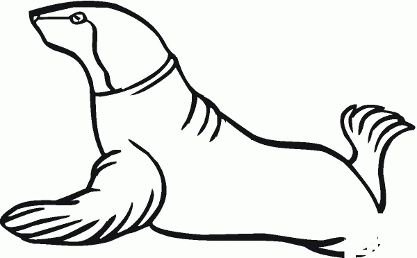 Sea Lion 7 coloring page image