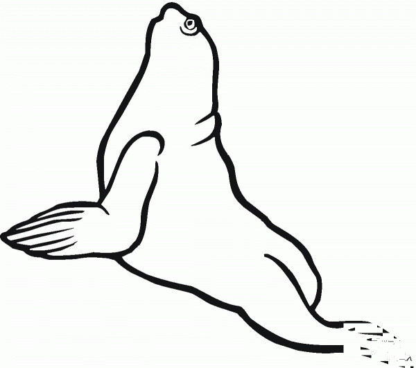 Sea Lion 8 coloring page image