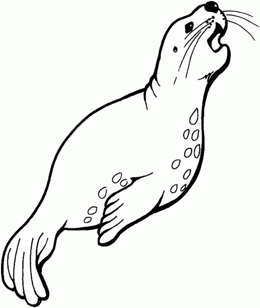 Sea Lion Is Singing coloring page image