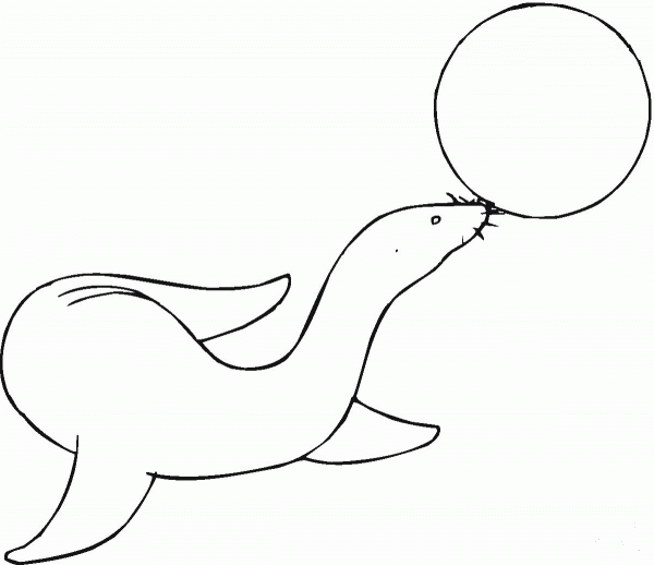 Sea Lion Plays Ball coloring page image