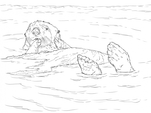 Sea Otter Floating coloring page image