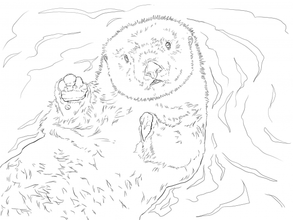 Sea Otter Portrait coloring page image