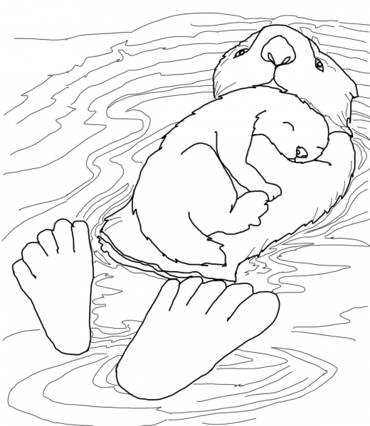 Sea Ottter with Baby coloring page image