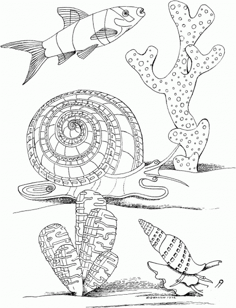 Sea Snail Marine Mollusc coloring page image