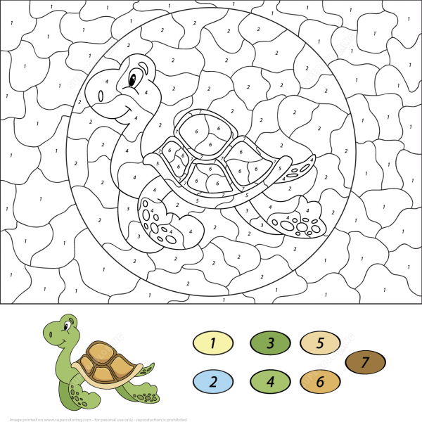 Sea Turtle Color by Number image