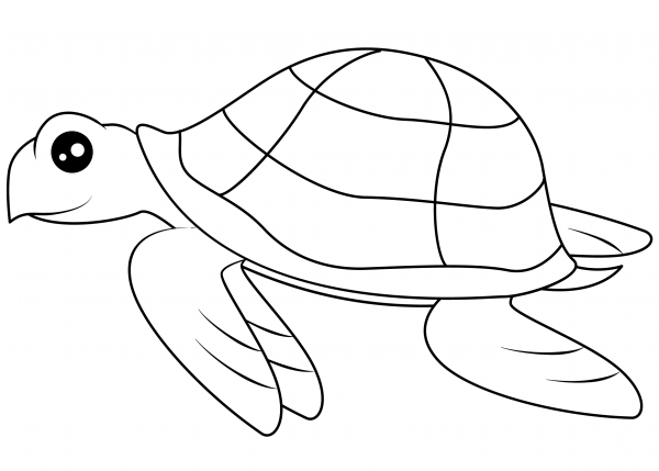 Sea Turtle coloring page image