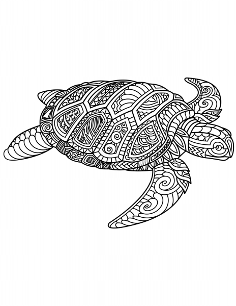 Sea Turtle Zentangle coloring page image