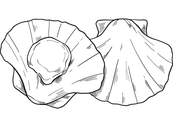 Seafood coloring page image