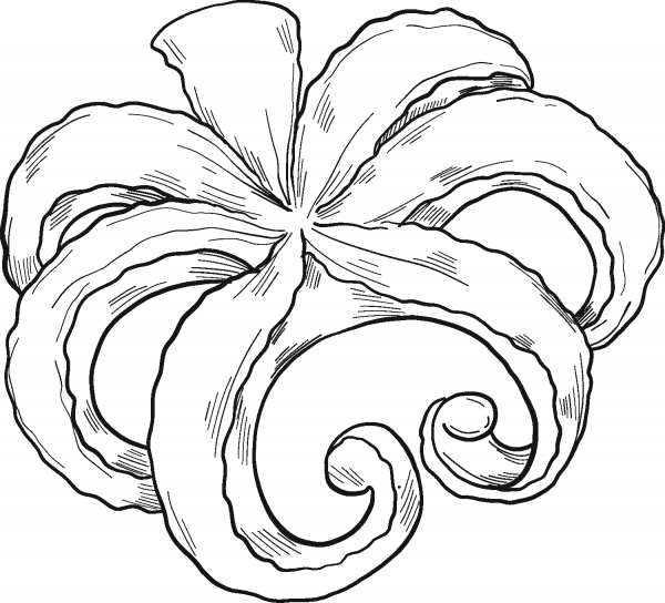 Seafood coloring page image
