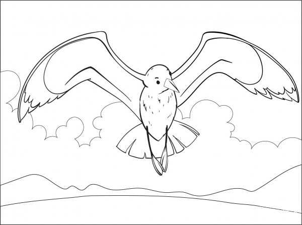 Seagull coloring page image