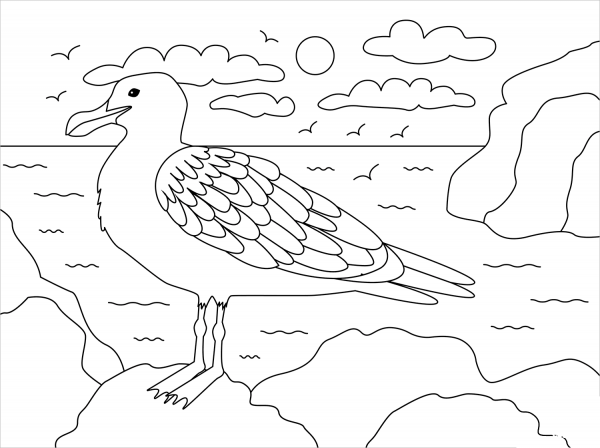 Seagull coloring page image