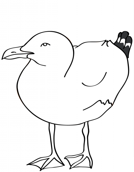 Seagull coloring page image