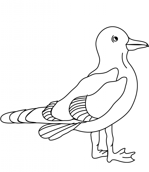 Seagull coloring page image