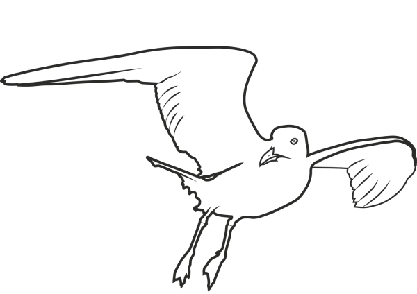 Seagull In The Sky coloring page image