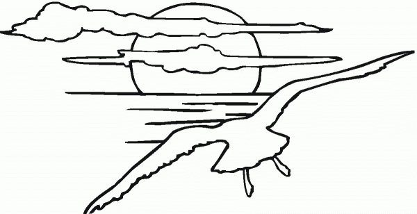 Seagull In the Sunset coloring page image