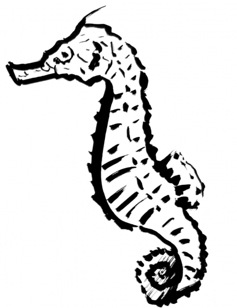 Seahorse coloring page image