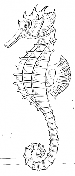Seahorse coloring page image