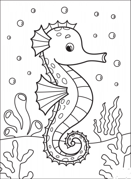 Seahorse coloring page image