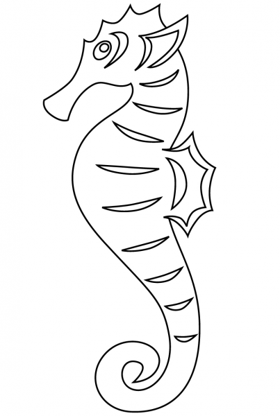 Seahorse coloring page image
