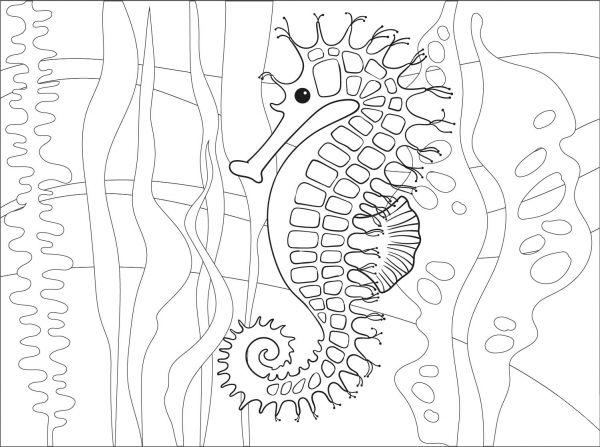 Seahorse coloring page image