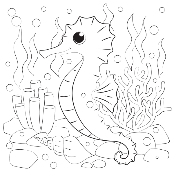 Seahorse coloring page image
