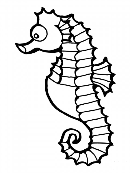 Seahorse Fish coloring page image