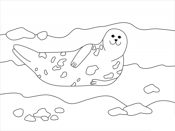 Seal coloring page image