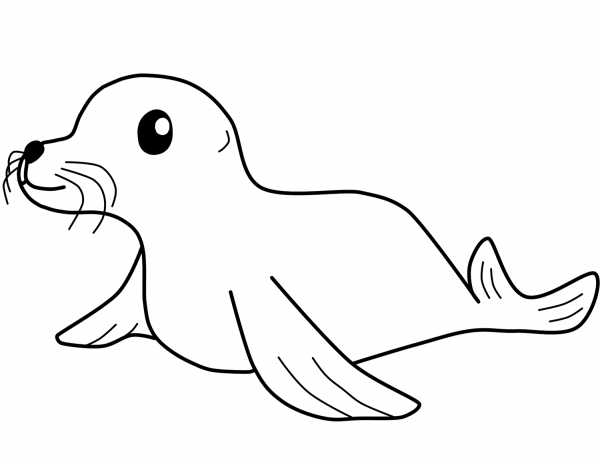 Seal coloring page image