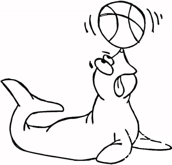 Seal Holding the Ball  coloring page image