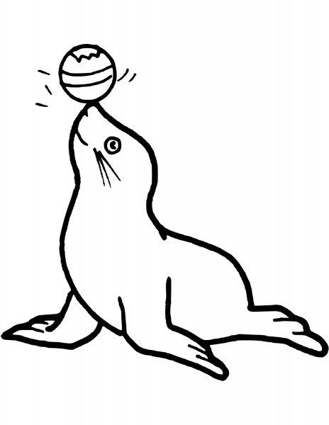 Seal Play The Ball coloring page image